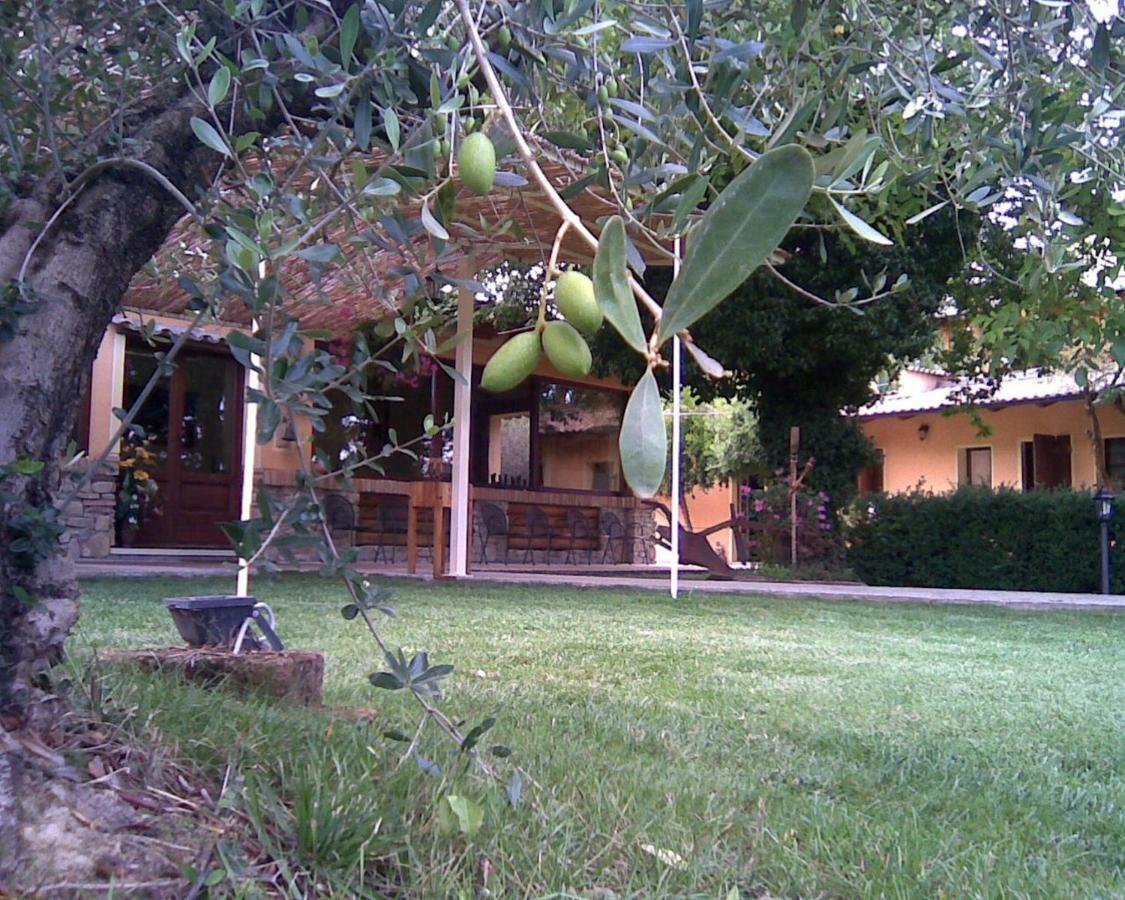 Le Spighe Agriturismo Cesena Exterior photo